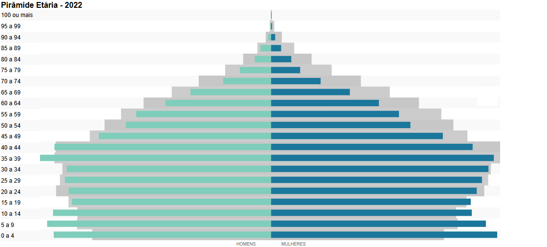 Pirâmide Etária Rio Brilhante 2022