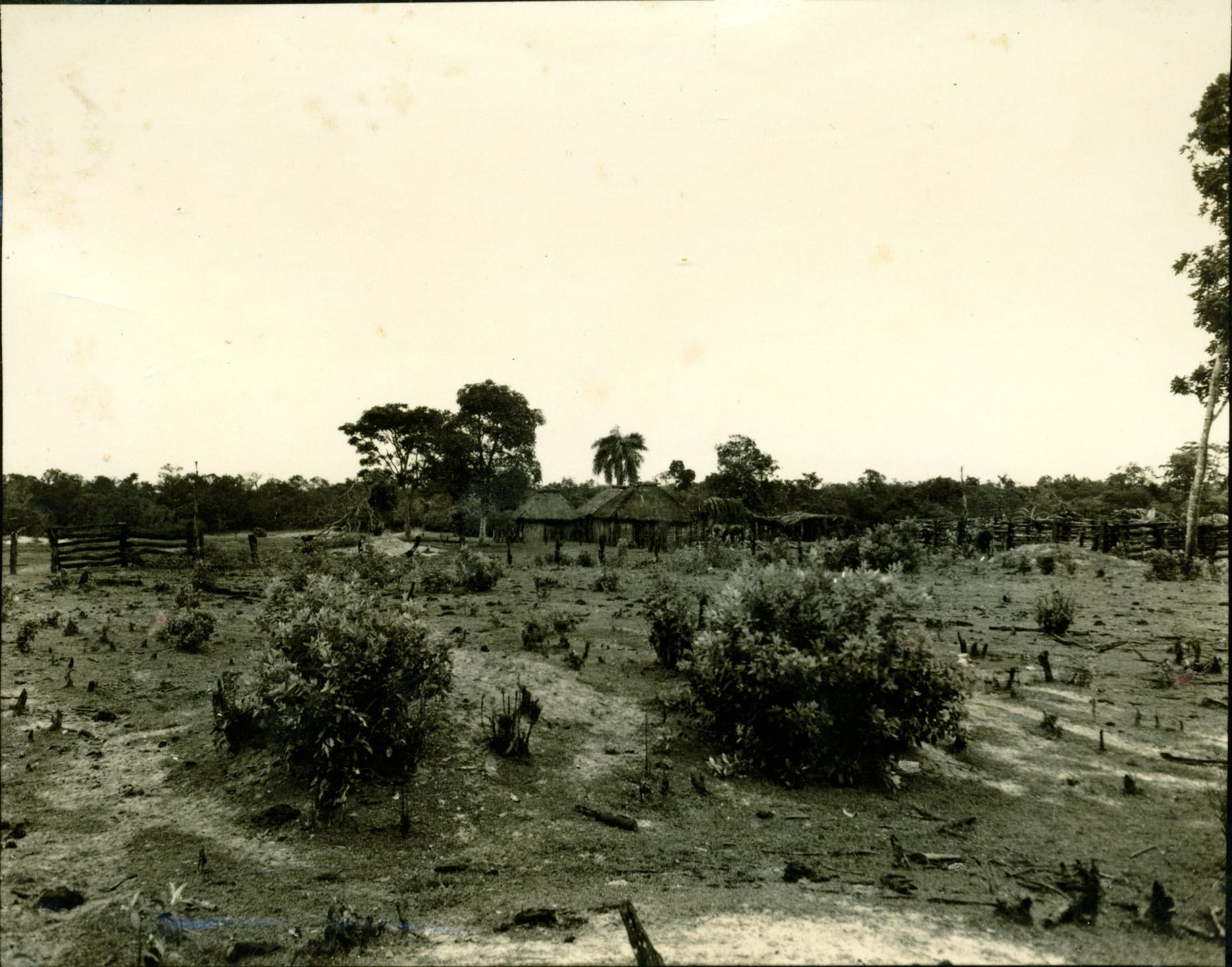 Pouso Fazenda Jararaca